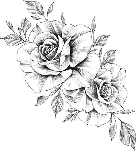 tattoo drawing of roses.